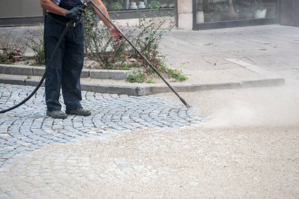 Animal Enclosure Cleaning in Schenectady, NY